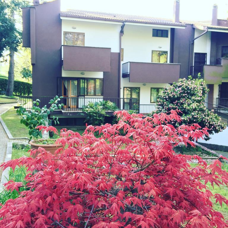 Maison 3G Ariccia Exteriér fotografie